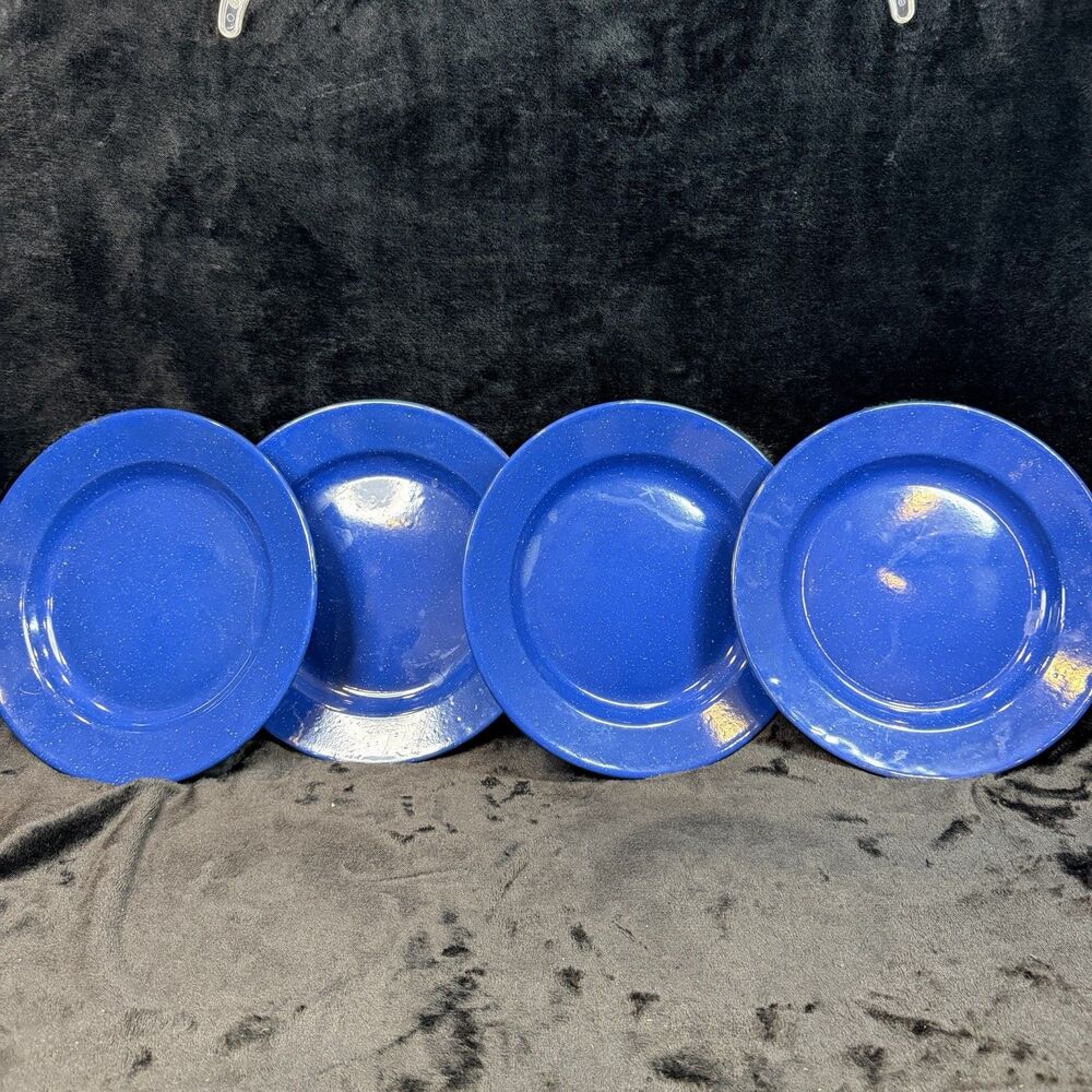 Coleman Set of 4 Blue Speckled  Enamelware Plate 10” Camping Hiking Outdoor USA